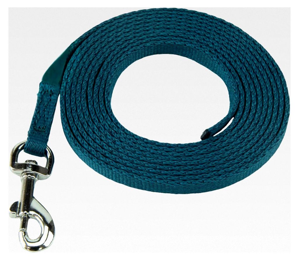 Trainingsleine für Welpen und kleine Hunde, Stubenreinheitstraining, Springen, Wegrennen, Platzvermeidung, Kauen, Hausmanieren. Leichte Indoor-Hau...