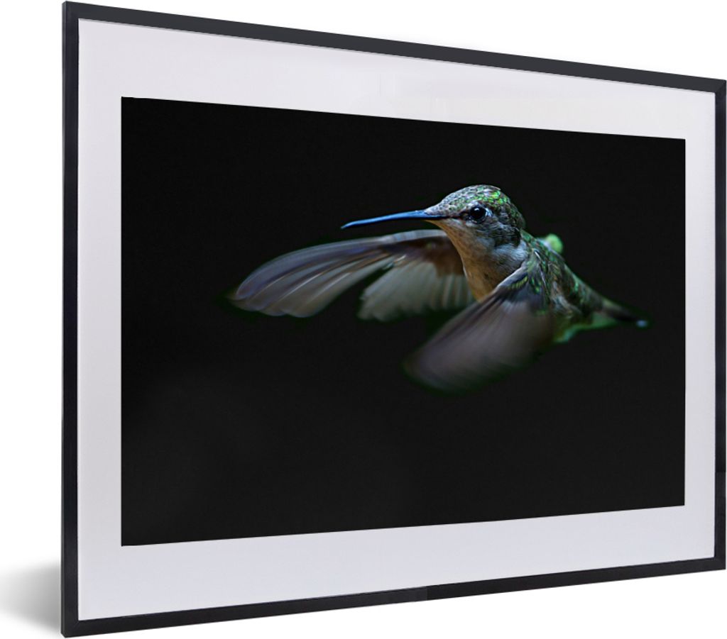 MuchoWow MuchoWow Gerahmtes Poster Kolibri - Federn - Schwarz 60x40 cm - Poster mit zchwarzem Bilderrahmen - Schlafzimmer - Plakat in Rahmen - ...