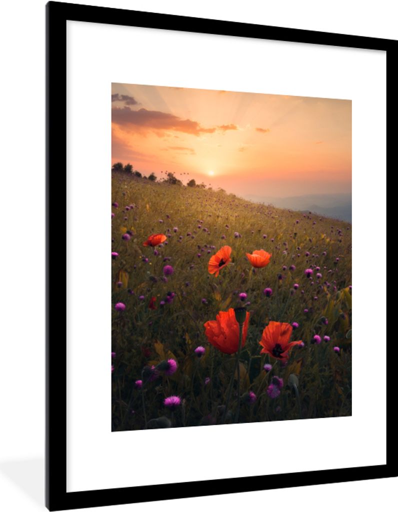 MuchoWow Gerahmtes Poster Blumenfeld - Gras - Pflanzen - Sonnenuntergang - Orange 60x80 cm - Poster mit Schwarzem Bilderrahmen Wandposter Rahmen ...
