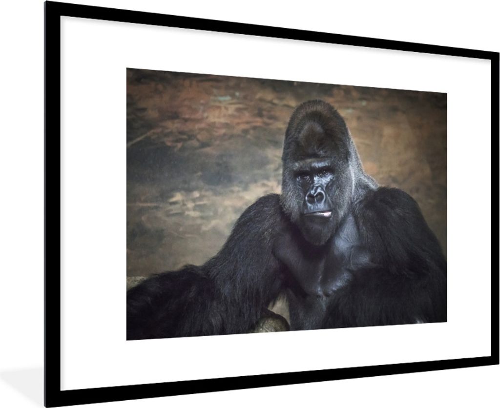 MuchoWow Gerahmtes Poster Porträtbild eines schwarzen Gorillas 90x60 cm - Poster mit Schwarzem Bilderrahmen Wandposter Rahmen Foto Bilder - Wand...