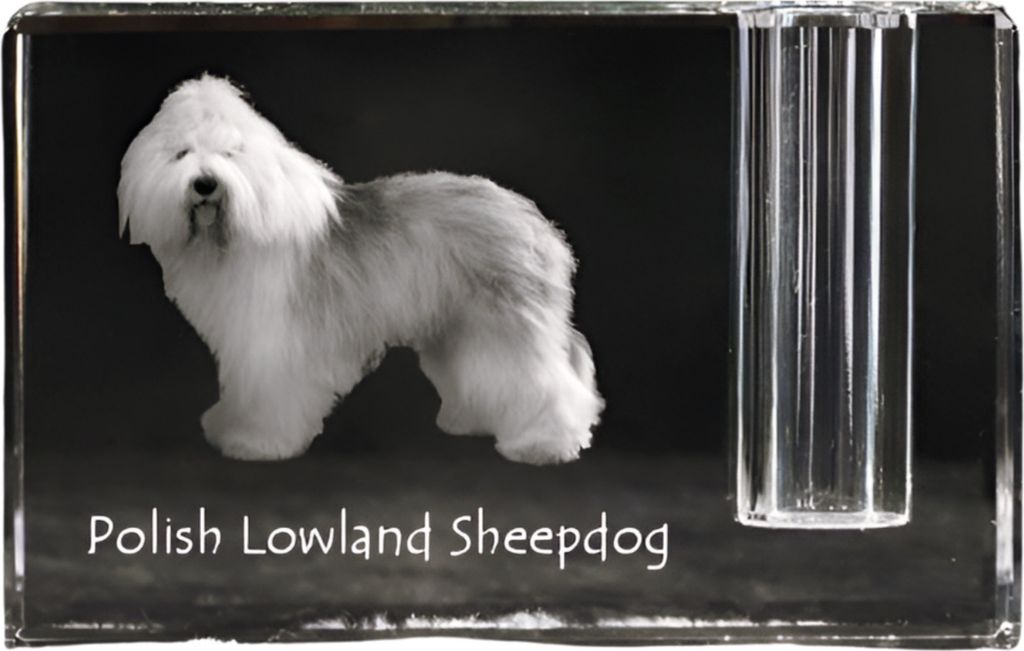 Polnischer Niederungshütehund, PON - Stifthalter, Kristallorganizer mit Hundefoto, einzigartige Schreibtischdekoration der Marke Art-Dog
