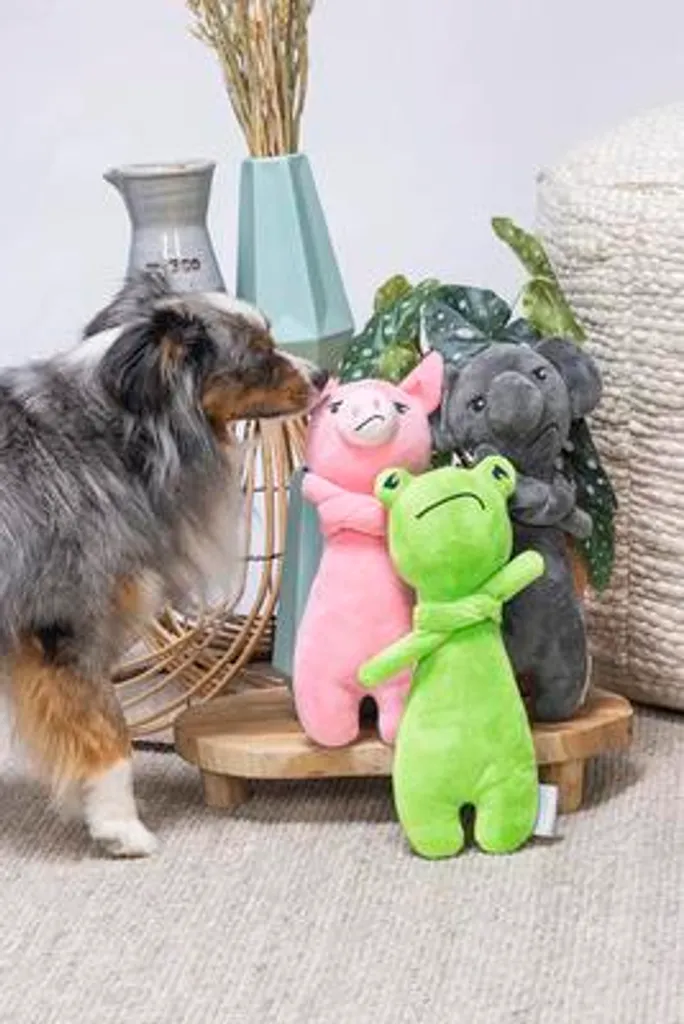 Beeztees Peluche Cane Koala Grigio 30,5cm: Gioco Senza Squeaker - 5
