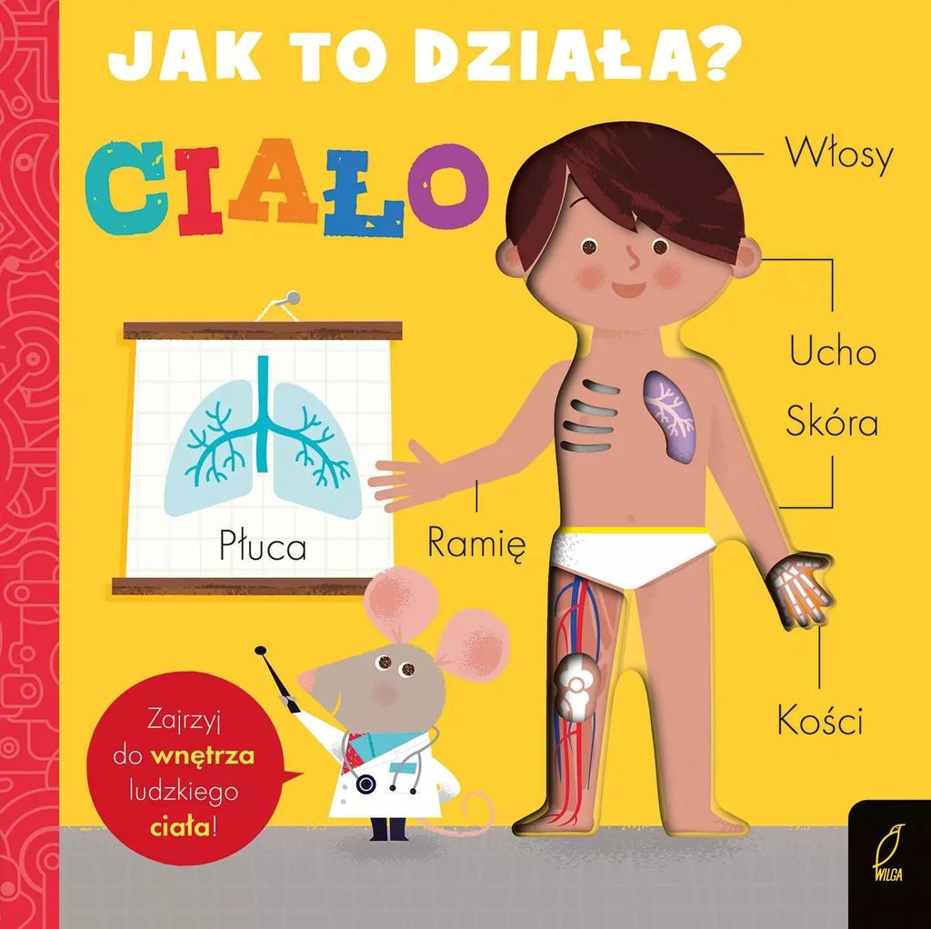 Ciało. Jak to działa