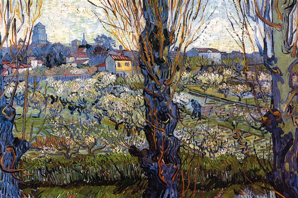Vincent Van Gogh Kunstdruck Bild - Blühender Obstgarten Mit Blick Auf Arles, 1889 (80 x 120 cm)