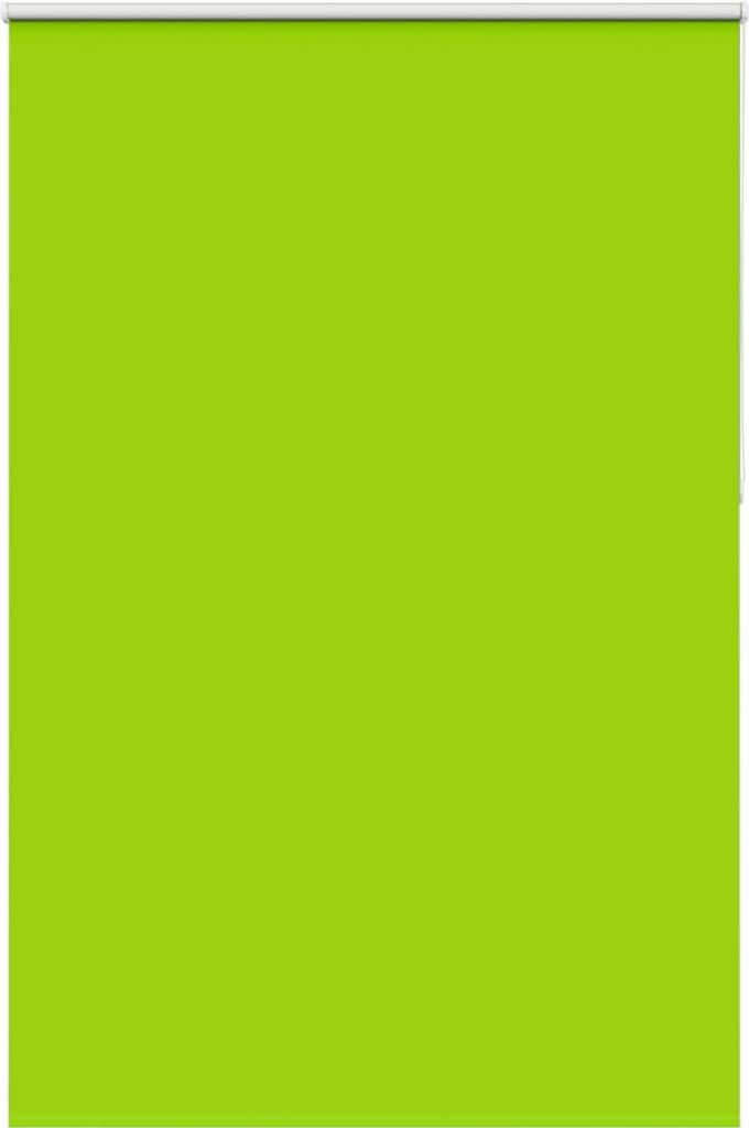 CLORIS Verdunkelungsrollo Grün 145x210cm Stoffbreite 141,6cm Polyester - Rollos 4011319