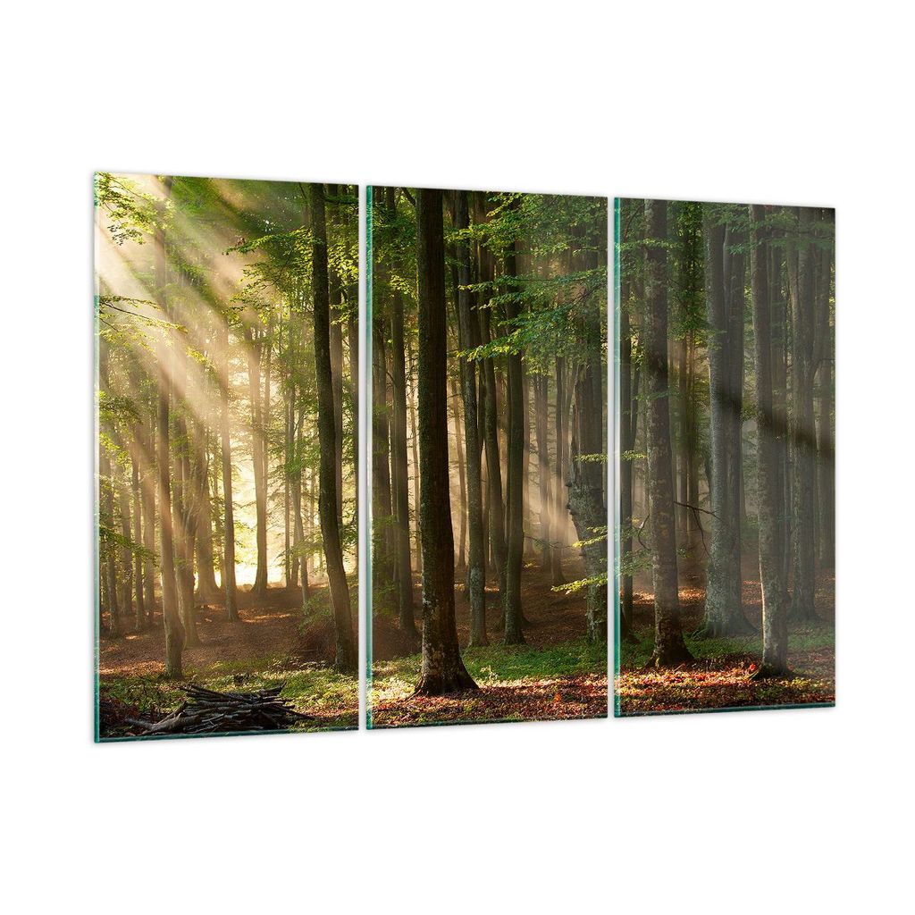 Bilder auf glas - Wald Baum Natur - 105x70cm - Glasbilder - Wandbilder - Kunstdruck - zum Aufhängen bereit - Wanddekoration aus Glas - Glas Bilder...