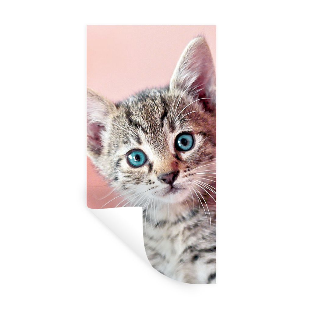 MuchoWow Wandtattoo Wandsticker Wandaufkleber Kätzchen - Blau - Rosa 60x120 cm Selbstklebend und Repositionierbar - Selbstklebend - Fototapeten