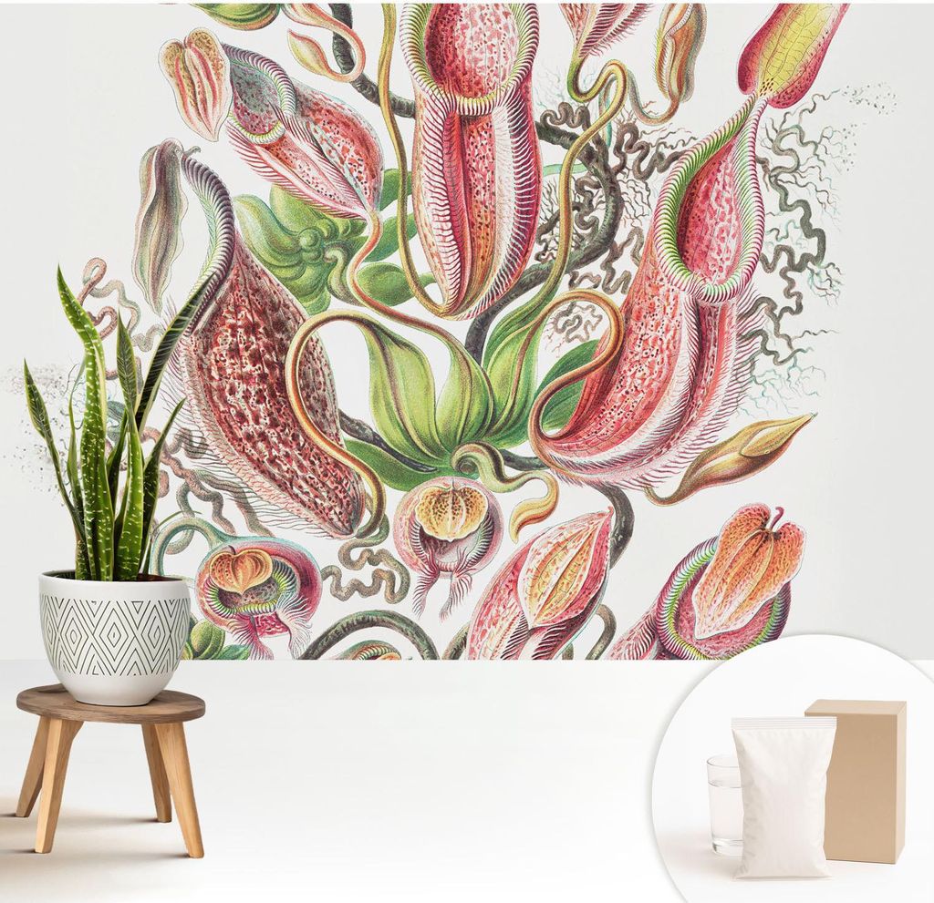 Fototapete - 208x146 cm - Tapete - Wandtapete - Wandbilder - Dekofolie - Tapete Folie - Wand - Dekoration - Wohnzimmer - Pflanzendetails