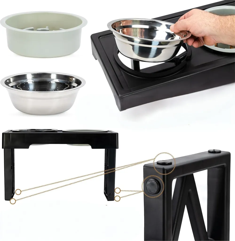 Set de gamelles pour chien ajustable idéal pour confort et digestion