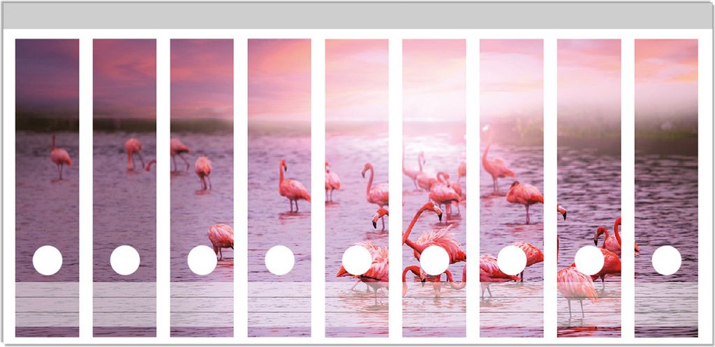Wallario Ordnerrücken Sticker, selbstklebend für breite Ordner, 9 Stück, Motiv Rosa Flamingos bei Sonnenuntergang