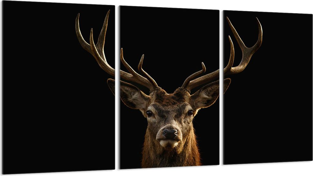 Glasschutzplatte für Herd 3x30x52