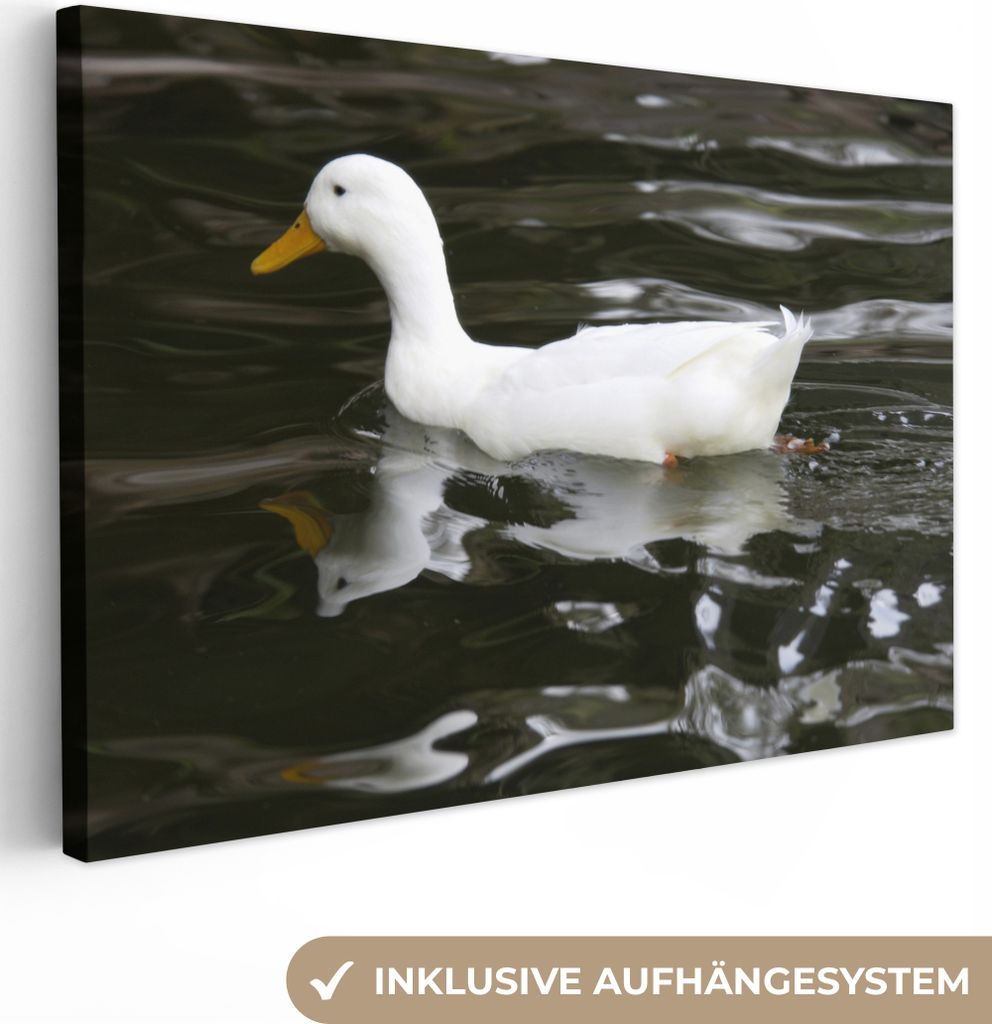 OneMillionCanvasses - Leinwandbilder - 140x90 cm, Ente - Weiß - Wasser, Wandbilder Kunstdruck Wanddekoration
