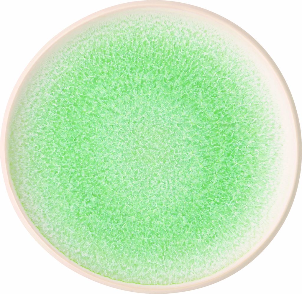 Rosenthal Teller flach 16 cm Jungle 21540-405259-60256