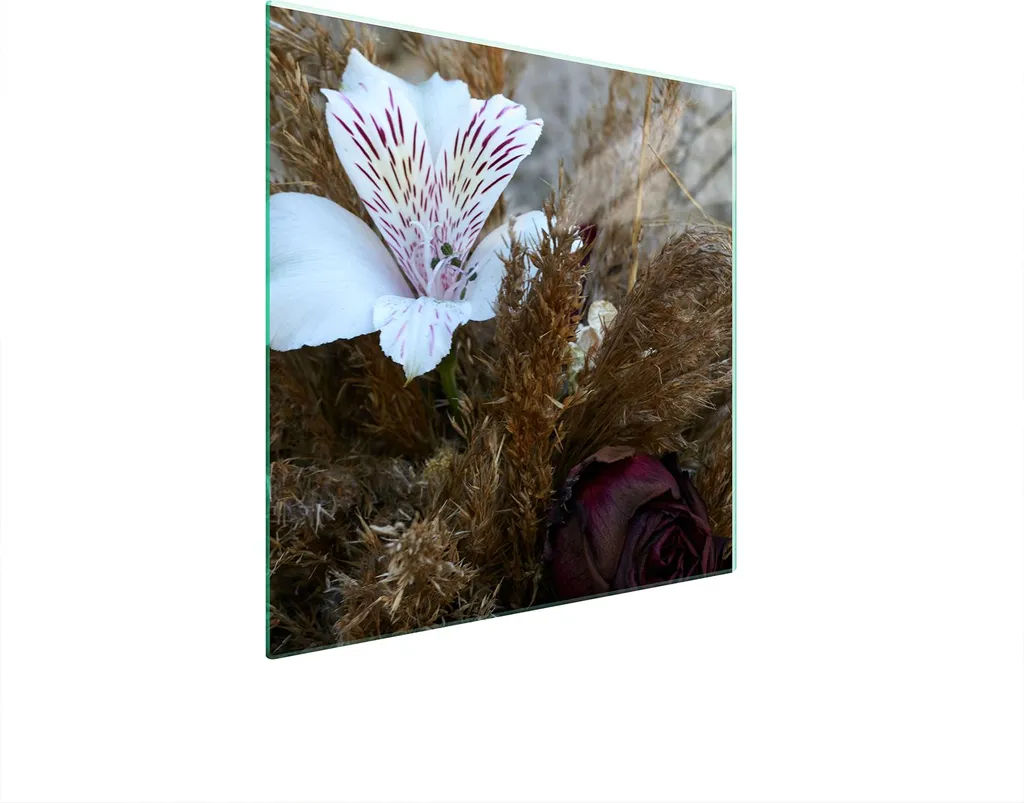 Copripiano Cottura Vetro 50x52 Design Orchidea - Protezione Piano Induzione