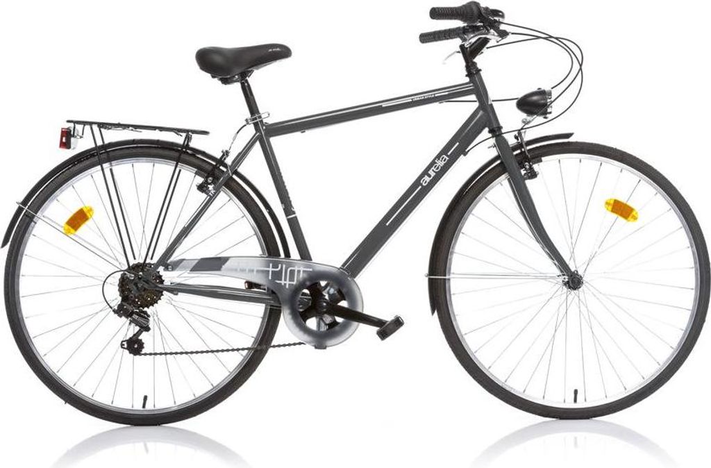Dino Bikes 28-Zoll Herren-Trekkingrad, Graues Citybike
