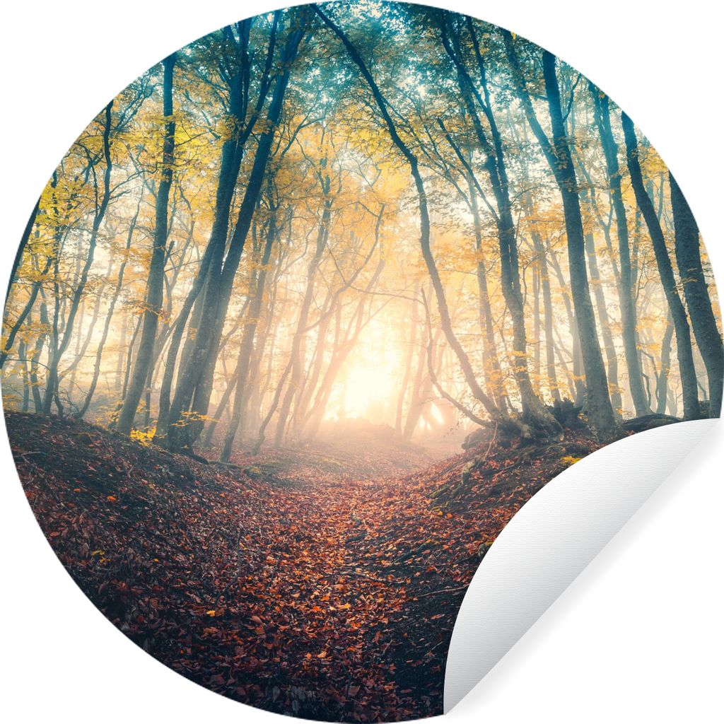 MuchoWow Runde Wandtattoo - Wandsticker Tapete Aufkleber Wald - Nebel - Sonne - Herbst Ø 100 cm Selbstklebend und Repositionierbar - Wandaufkleb...