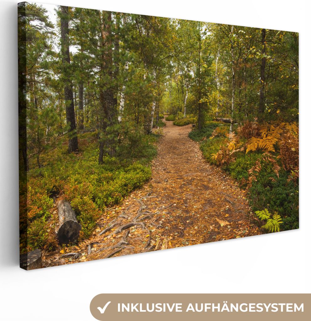 OneMillionCanvasses - Leinwandbilder - 150x100 cm, Wald - Weg - Herbst - Laub, Wandbilder Kunstdruck Wanddekoration