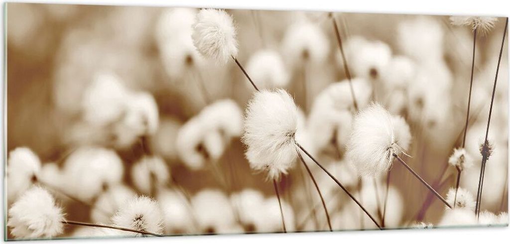 Bilder auf glas - Einteilig - Baumwolle Boho Wollig - 100x40cm - Glasbilder - Wandbilder - Bilder - zum Aufhängen bereit - Wanddekoration aus Glas...