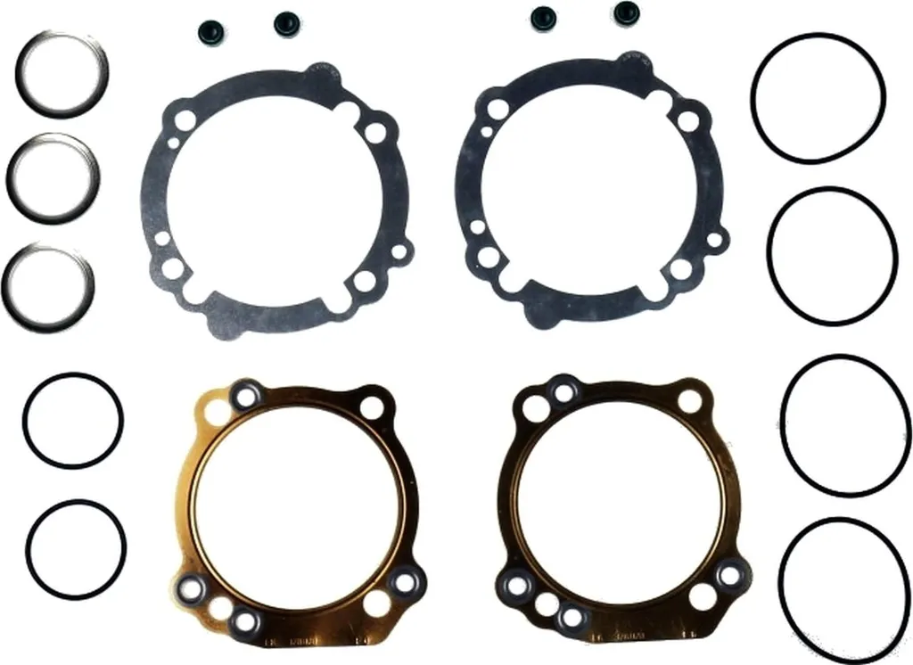 Pochette de joints moteur Ducati Monster 1100 ABS par pamoto