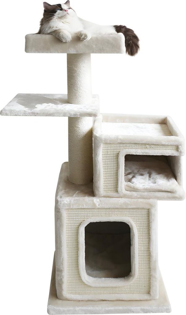 Nobby Kratzbaum Dados cream