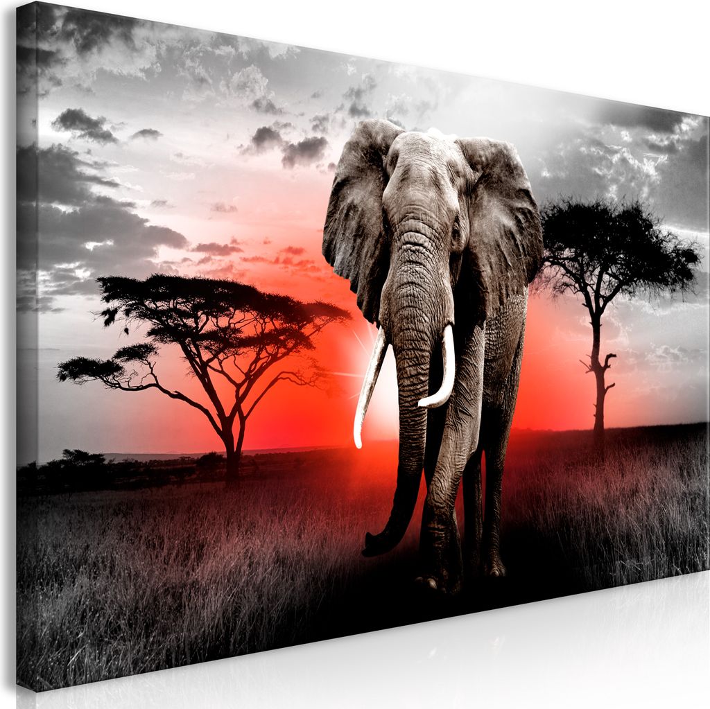Wandbild Mega XXXL Afrika 250x125 cm Einteiliger XXL-Format Kunstdruck zur Selbstmontage Leinwandbilder moderne Bilder DIY Wanddekoration Wohnung D...