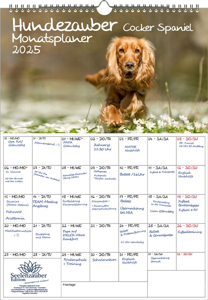 Hundezauber Cocker Spaniel Planer DIN A3 Kalender für 2025 Hunde Welpen - Seelenzauber