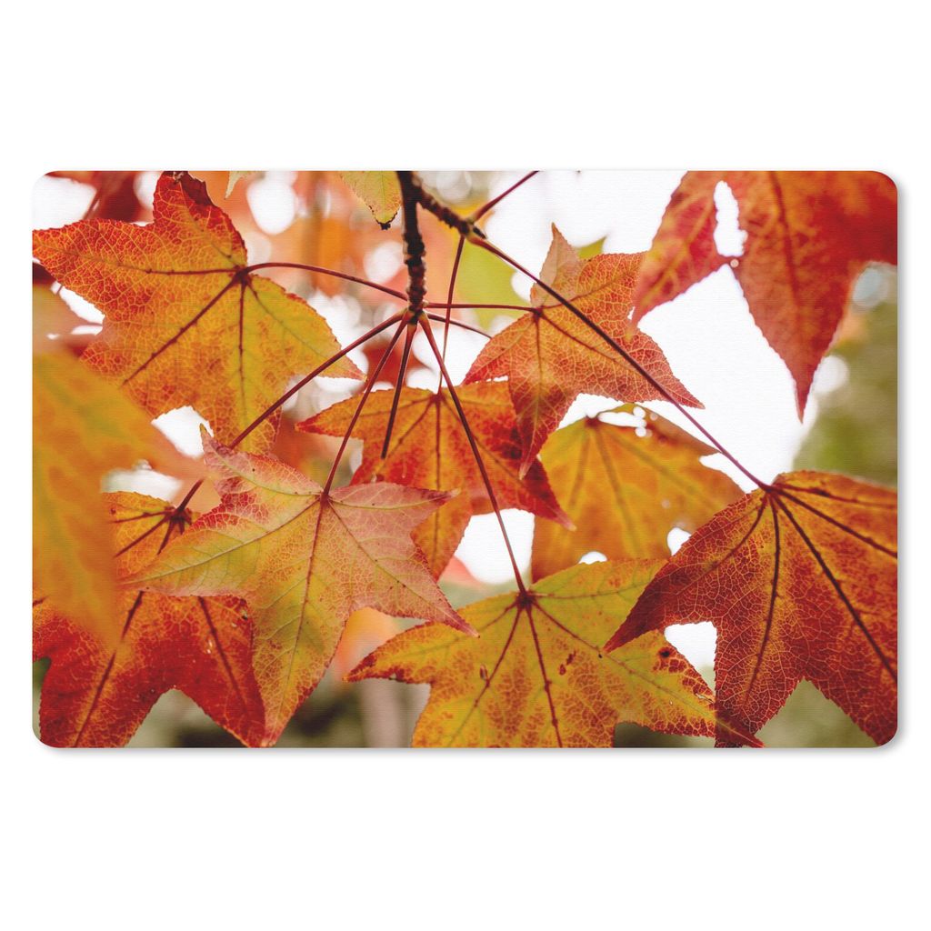 MuchoWow Schreibtischunterlage Herbstzweige - Blätter - Jahreszeiten - Landleben 60x40 cm - XXL Mauspad - Großes Mauspad