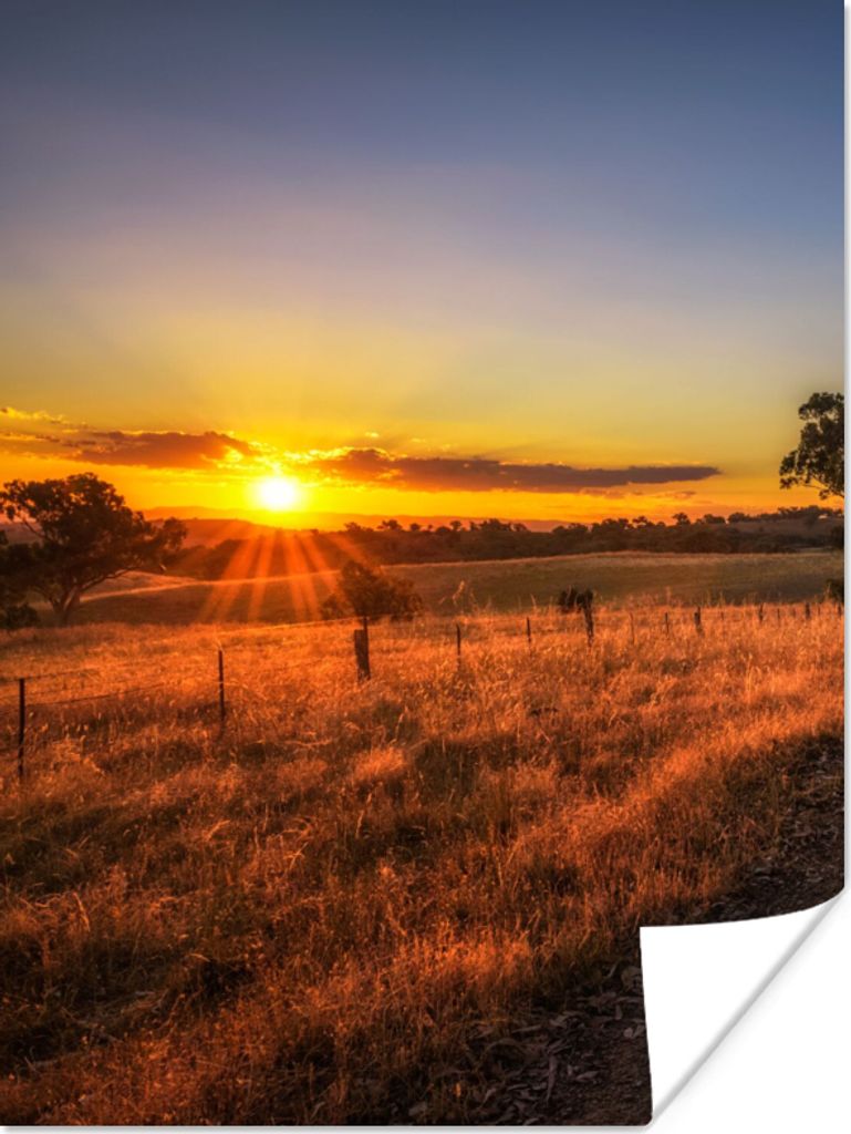 MuchoWow Poster Sonne - Gras - Baum - Natur 90x120 cm - Wohnzimmer