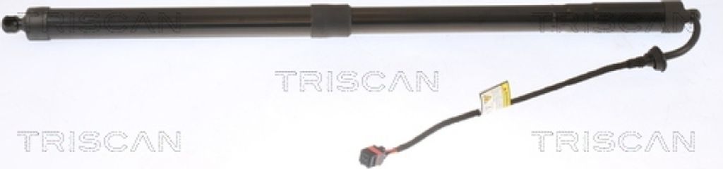 TRISCAN Gasfeder, Koffer-/Laderaum Links Rechts 8710 11313