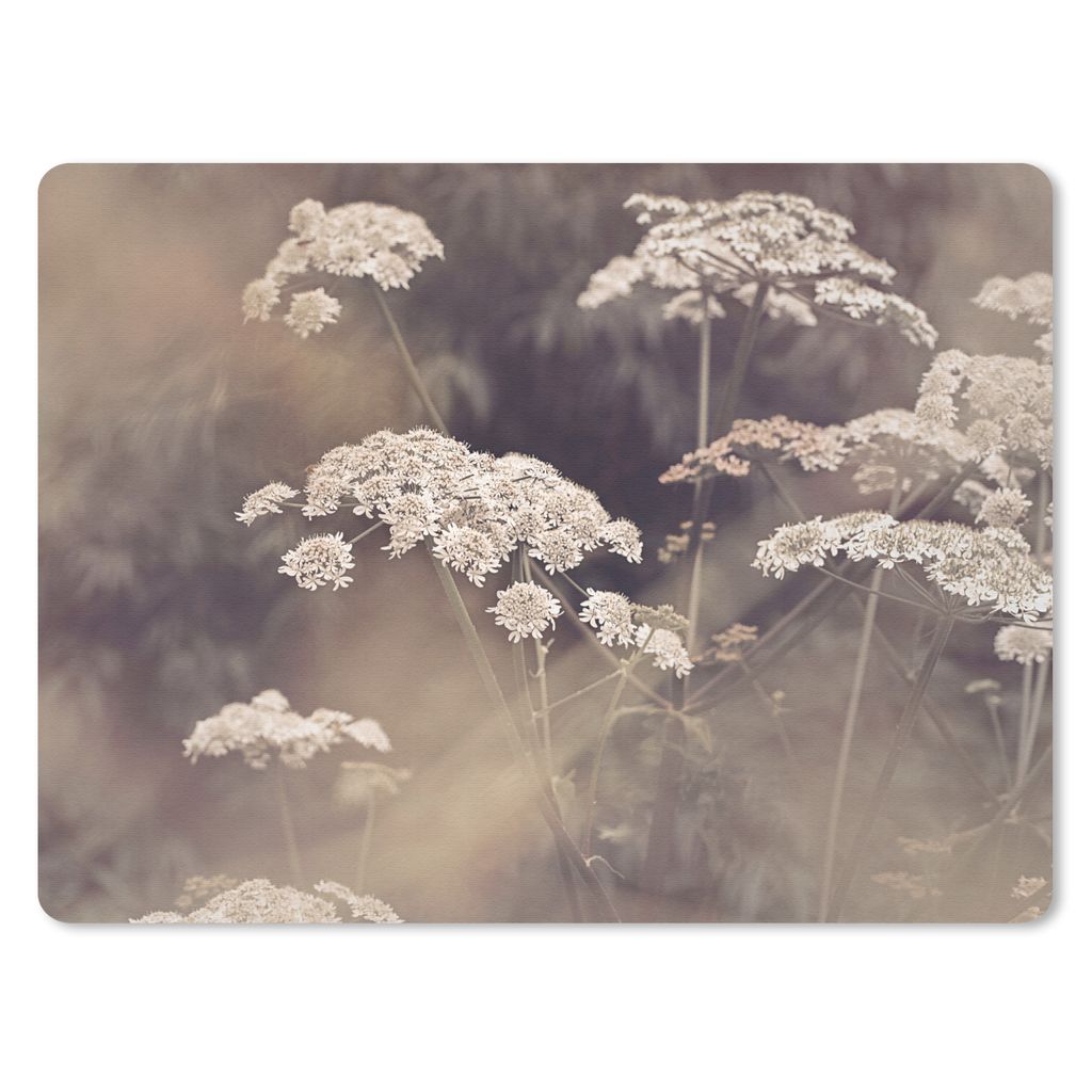 MuchoWow Mauspad Mousepad Pflanze - Weiß - Natur - Blumen 40x30 cm - Mousepads - Maus Mat - Pad - Mausunterlage - Anti Rutsch