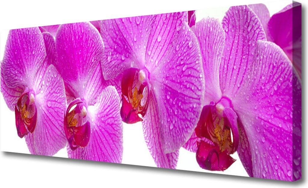 Tulup Leinwand-Bilder 125x50 Wandbild Canvas Kunstdruck Produktbild 