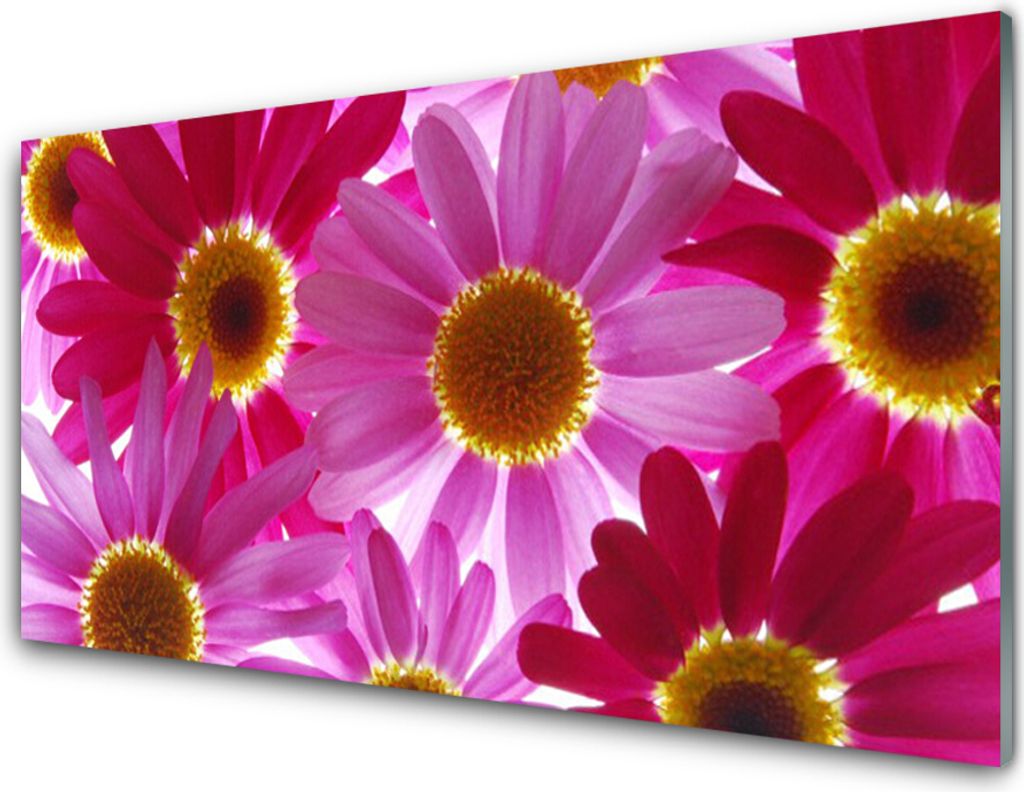 Acrylglasbilder 100x50 Wandbild Druck Blumen Pflanzen