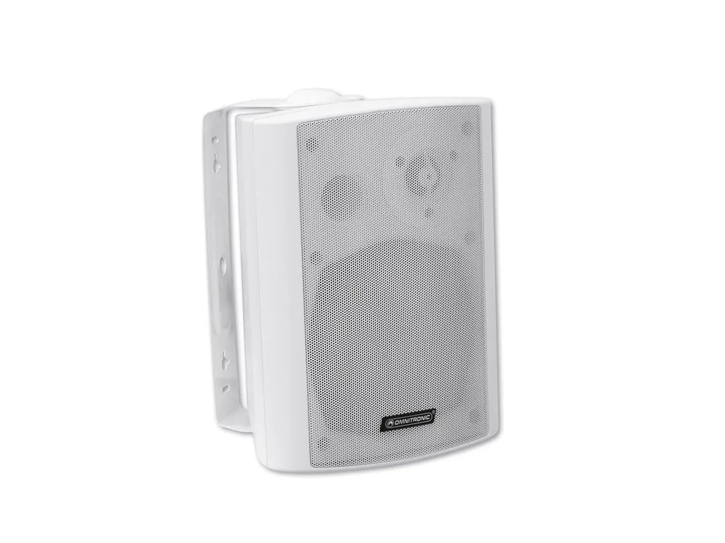 Enceinte Discrète Omnitronic 80710523 30W : Son Clair et Net