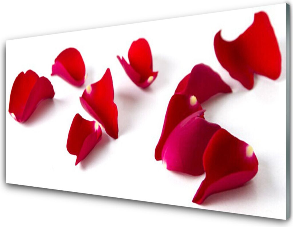 Acrylglasbilder 100x50 Wandbild Druck Blütenblätter Pflanzen