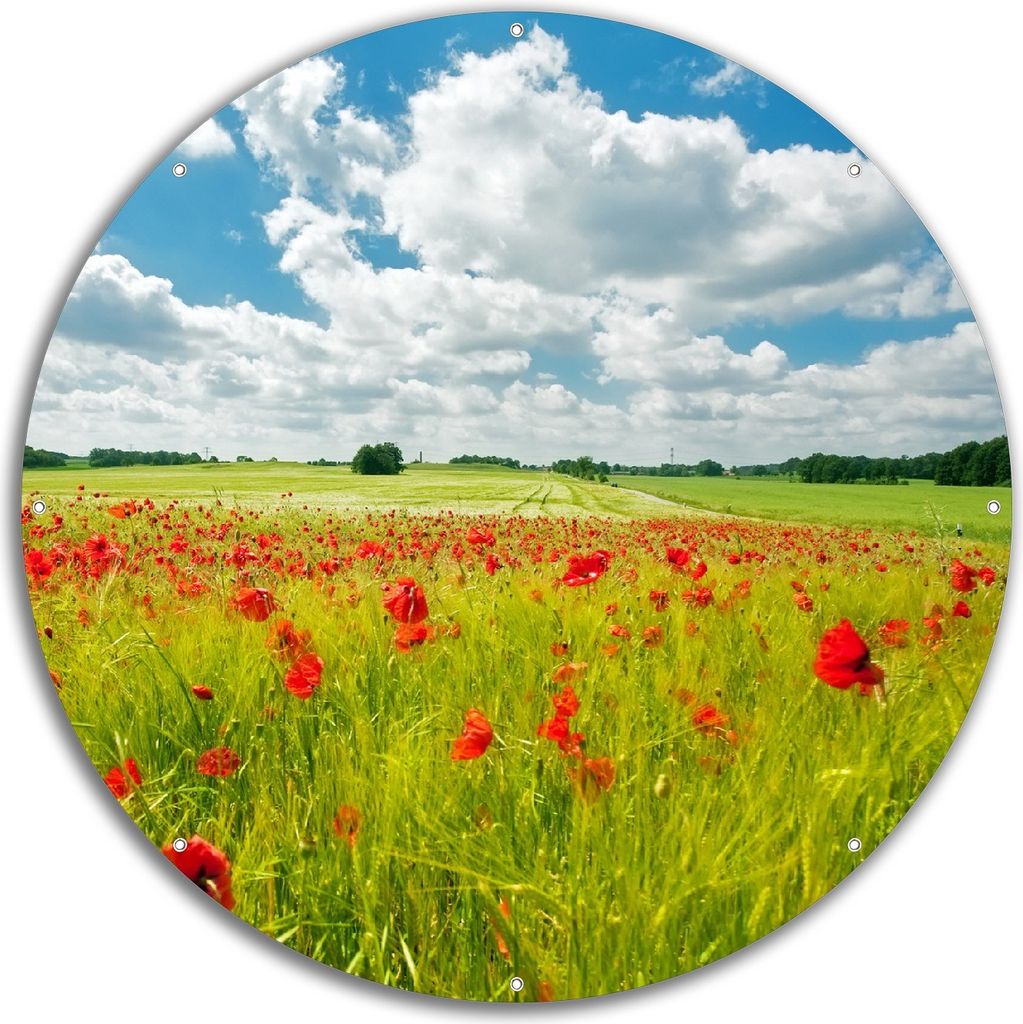 Wallario rundes Outdoor-Poster für Garten oder Balkon, Motiv Grüne Wiese mit Mohnblumen, 60 cm Durchmesser