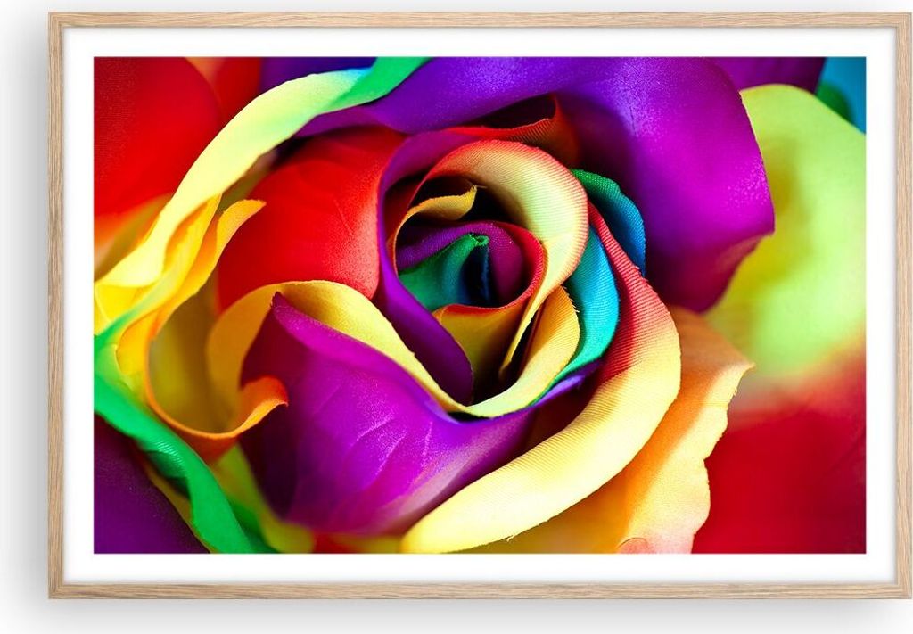 Gerahmtes Poster - Rahmen in heller Eiche - Blume Farbe Rose - 91,5x61 cm - Wand Bild - Wanddeko - Wandbilder - Kunstposter - Wandposter - Bilderra...