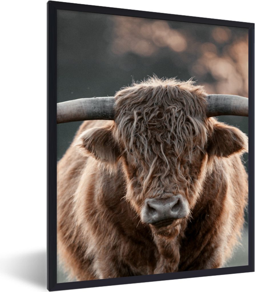 MuchoWow Gerahmtes Poster Kuh - Schottischer Highlander - Vlies 60x80 cm - Poster mit Schwarzem Bilderrahmen Wandposter Rahmen Foto Bilder - Prem...