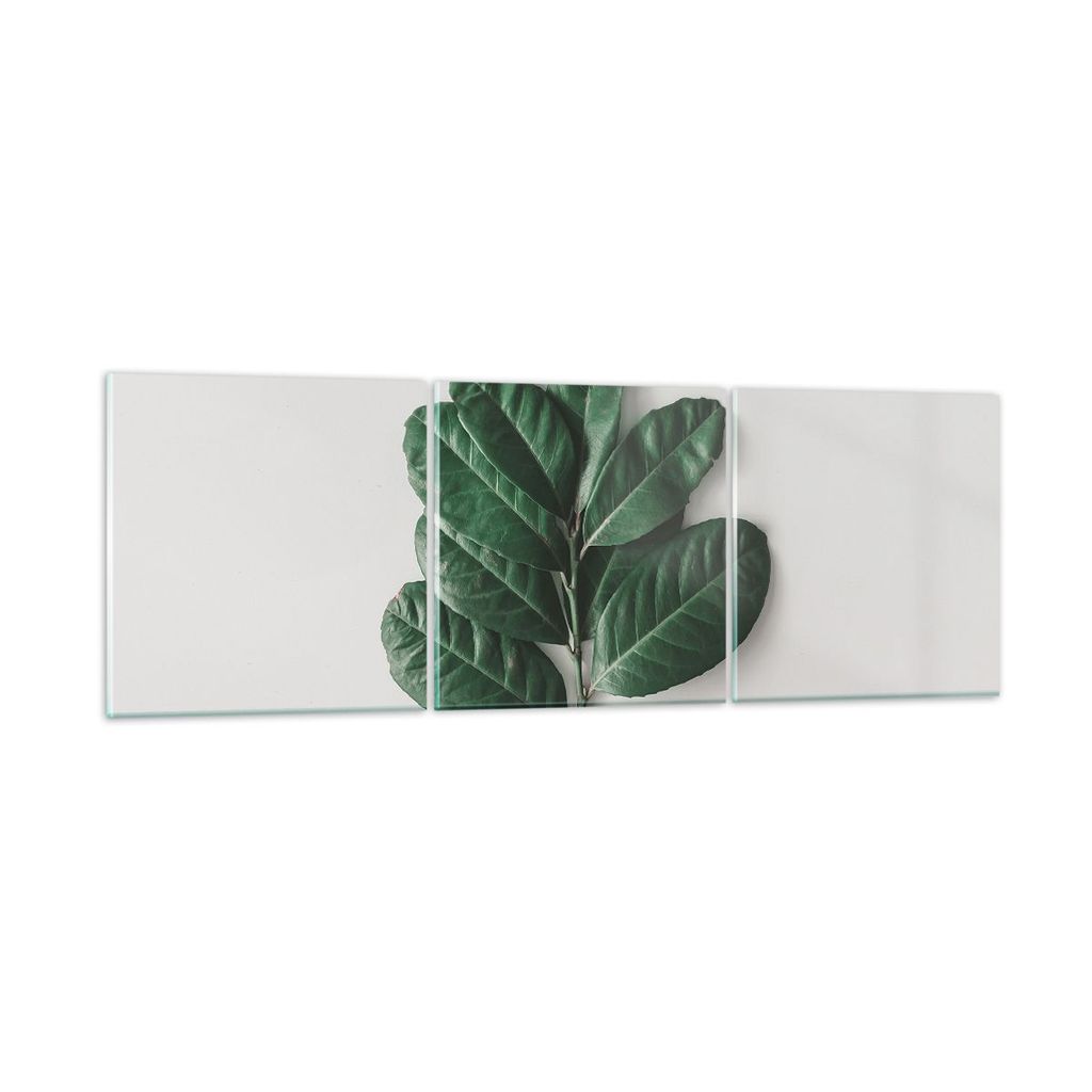 Bilder auf glas - 3 Teile - Blätter Pflanzen Botanik - 120x40cm - Glasbilder - Wandbilder - Bilder - zum Aufhängen bereit - Wanddekoration aus Gl...