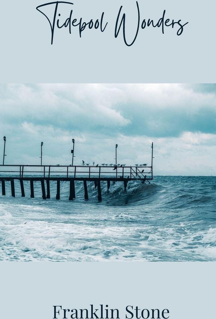Tidepool Wonders