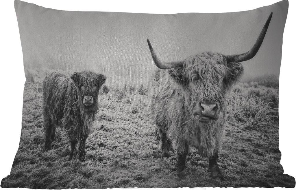 MuchoWow Outdoor Kissen - Schottische Hochlandbewohner - Licht - Himmel - Natur - 60x40 cm - Wetterfest - Lounge Kissen - Zierkissen - Kissen fü...