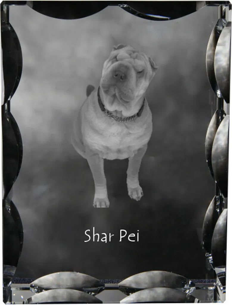 Memoriale Shar Pei in Cristallo Art-Dog - Foto su Vetro Personalizzata