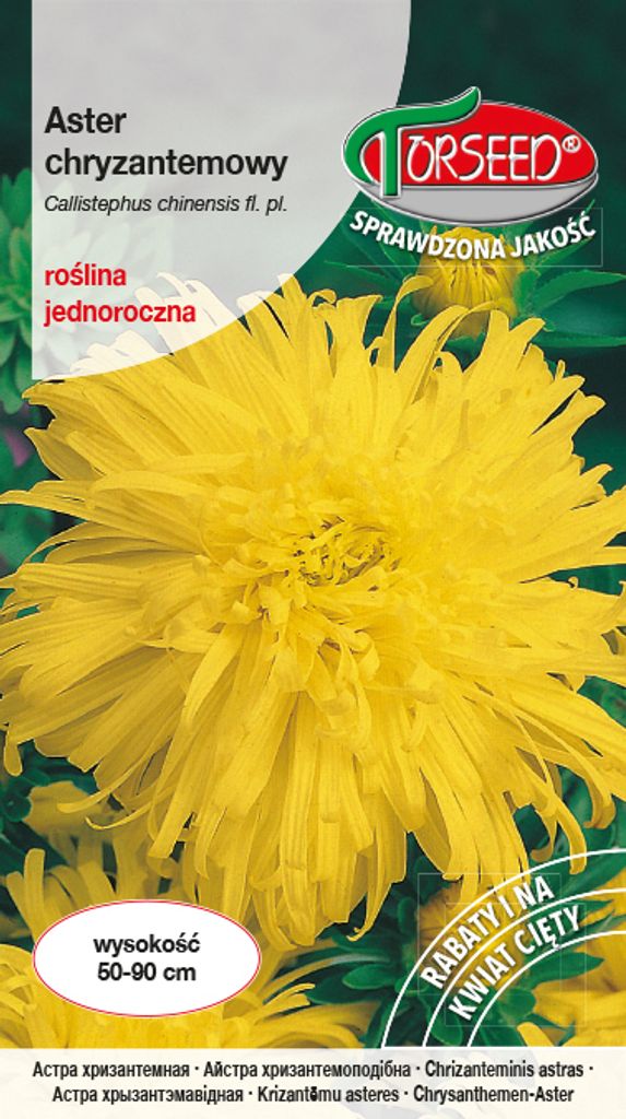 Samen von Aster tall chrysanthemum olivgelb 0.5g - Torseed