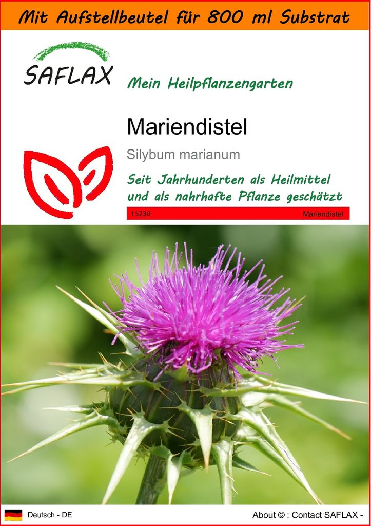 SAFLAX - Garden in the Bag - Heilpflanzen - Mariendistel - 75 Samen - Mit Anzuchtsubstrat im praktischen, selbst aufstellenden Beutel - Silybum mar...