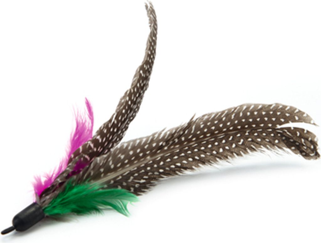 Beeztees Ersatzfeder für Katzenangel Twisty 430300