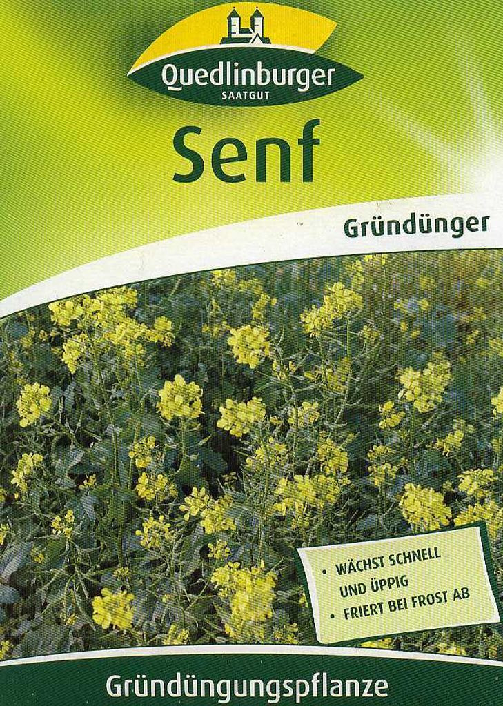 knstliche grnpflanzen gnstig Knstliches Gras 90 cm mit weien Blten Kunstgras Dekogras Kunstpflan   arnusa