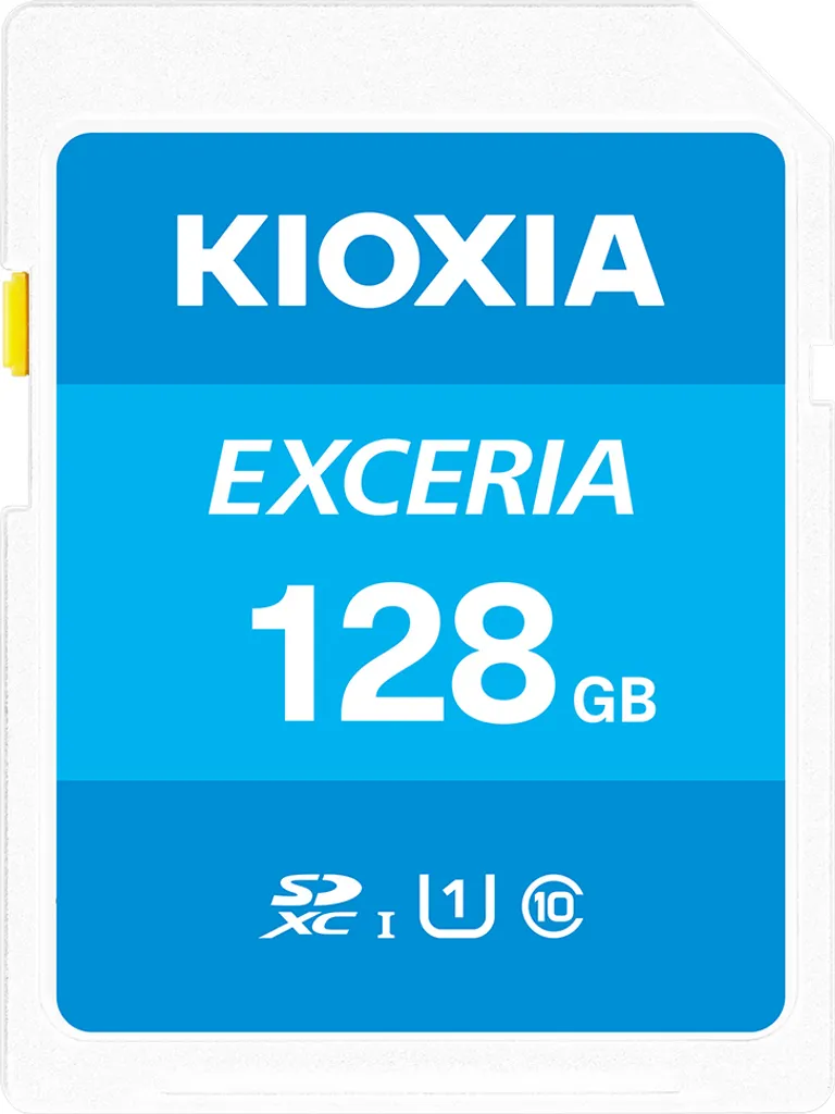 KIOXIA Exceria 128GB: Proteggi i Ricordi della Tua Famiglia - 1