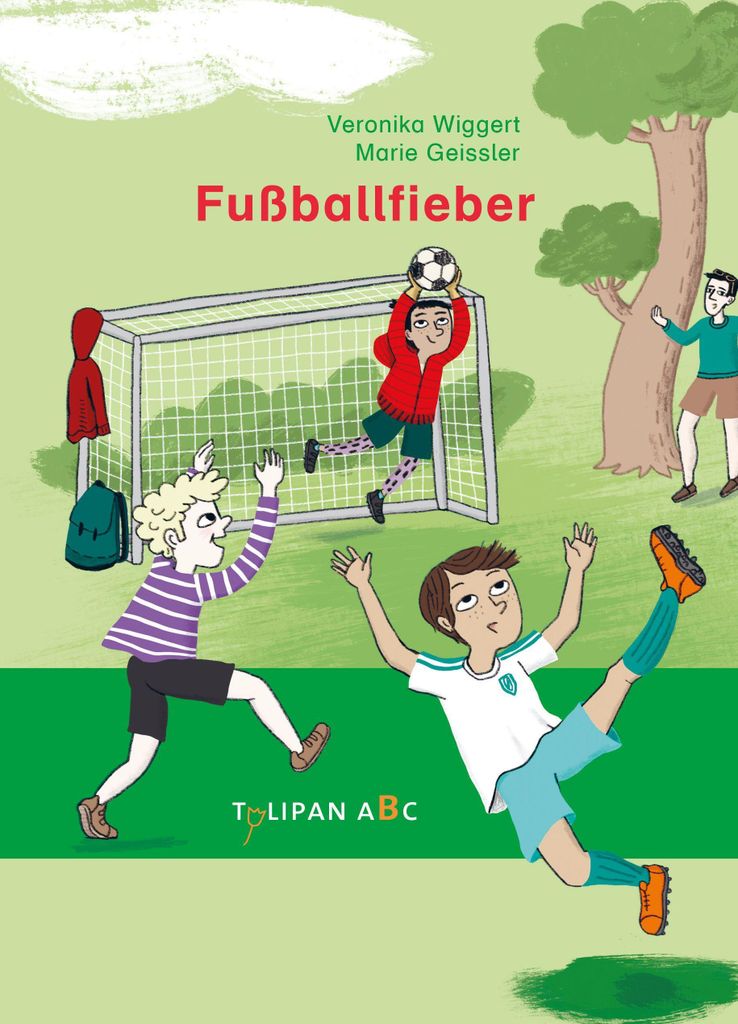 Kinderbuch Fußballfieber: Freundschaft und Fußball mit Lukas, Lexy, Tobi, durchgehend farbig