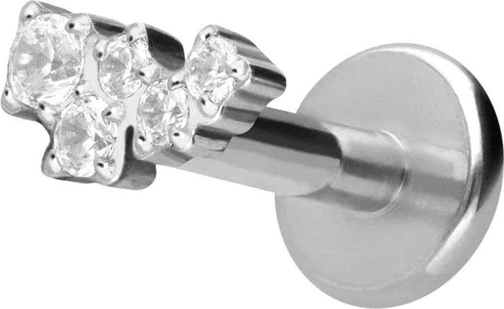 Ohrpiercing, Nasenpiercing Titan Labret mit Innengewinde KRISTALLWOLKE Silber Stablänge: 10mm | Stabstärke: 1,2mm