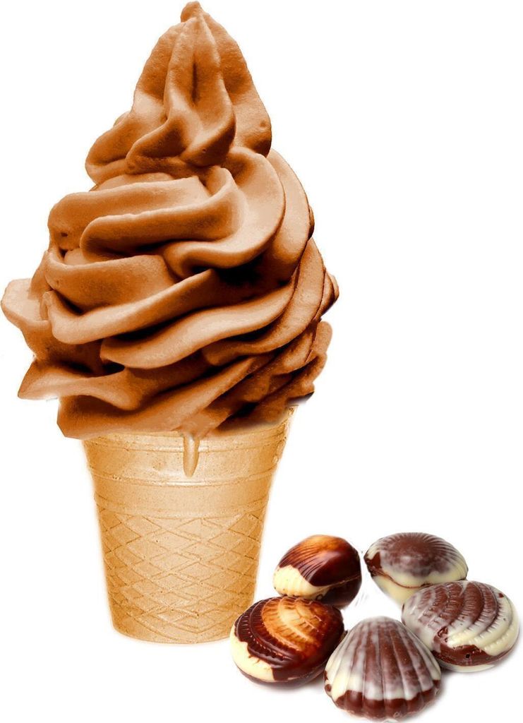 Belgische Praline Dänisches Softeis Pulver 333 g