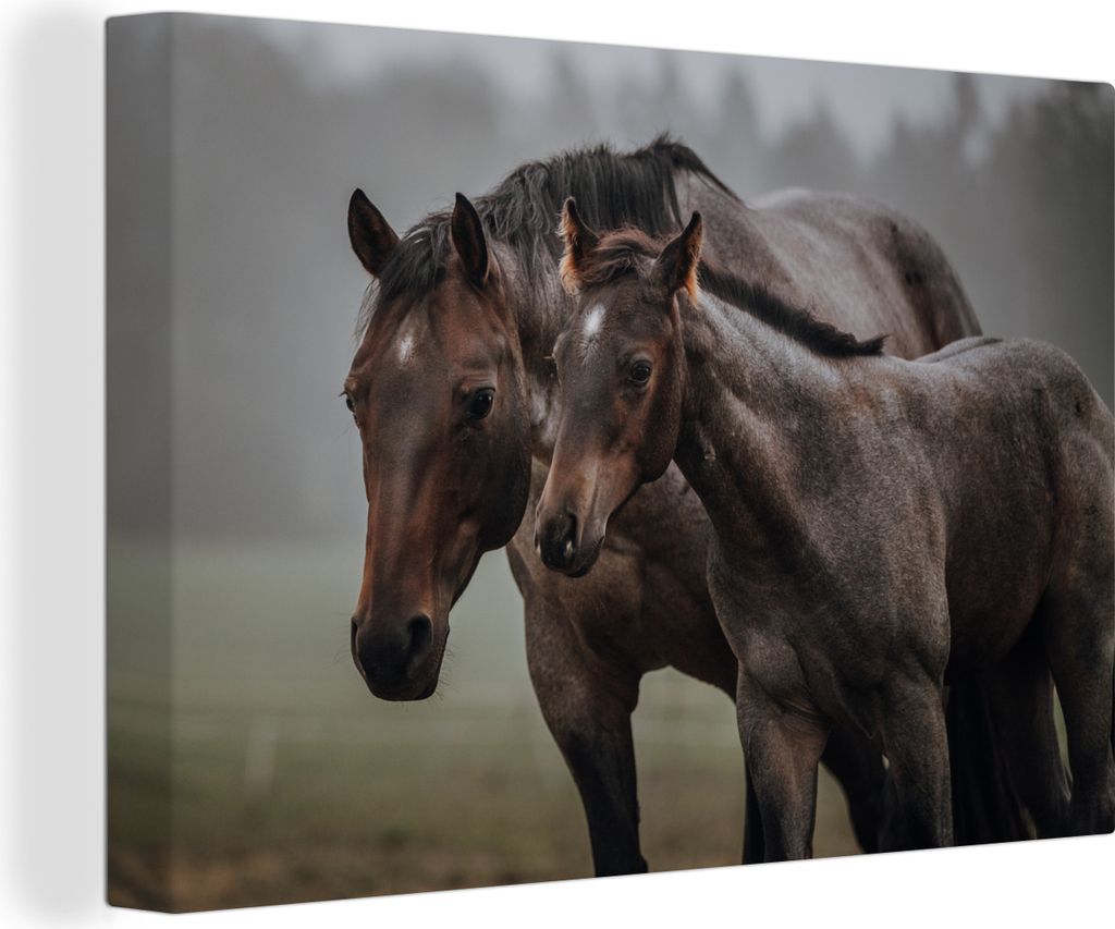 OneMillionCanvasses - Leinwandbilder - 140x90 cm, Pferde - Nebel - Landschaft, Wandbilder Kunstdruck Wanddekoration